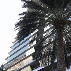 IMG 248